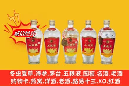 西陵区名酒回收老五粮液.jpg
